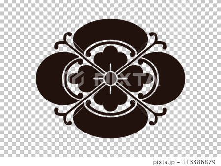 Vine quince Vine quince 113386879