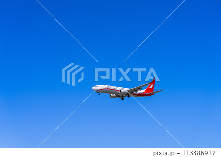 《飛行機》ボーイング Boeing 737NG > 737-800 《飛行機》ボーイング Boeing 737NG > 737-800 113386917