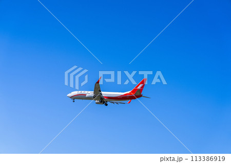 《飛行機》ボーイング Boeing 737NG > 737-800 113386919