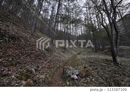 御座山登山、茨城県 御座山登山、茨城県 113387100