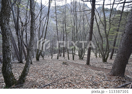 御座山登山、茨城県 113387101