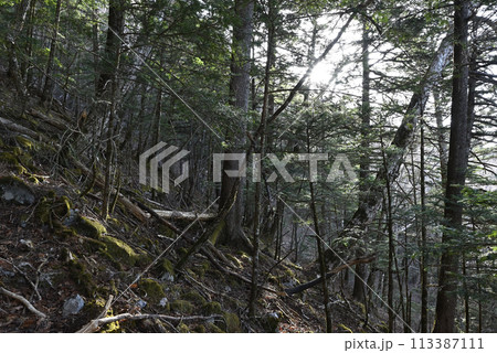 御座山登山、長野県 113387111