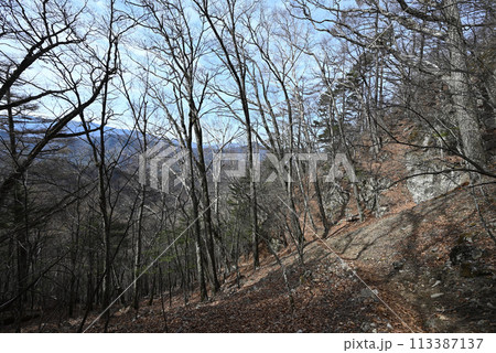 御座山登山、長野県 御座山登山、長野県 113387137