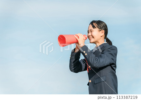 メガホンを持ってエール・声援・応援する高校生・中学生の女の子・女子高生 メガホンを持ってエール・声援・応援する高校生・中学生の女の子・女子高生 113387219
