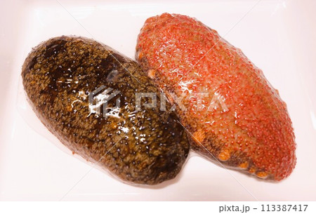 マナマコと赤ナマコ 113387417