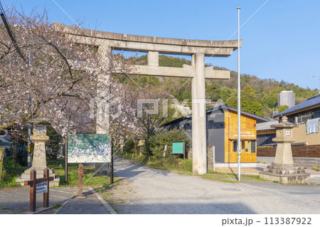 大石神社の桜(京都市山科区) 大石神社の桜(京都市山科区) 113387922