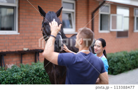 Veterinarian and owner of horse will conduct physical examination Veterinarian and owner of horse will conduct physical examination 113388477