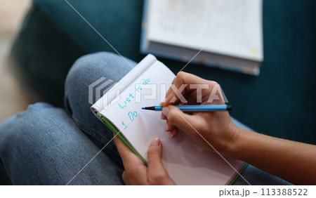 Woman sitting on couch and writing diary to do list for today closeup Woman sitting on couch and writing diary to do list for today closeup 113388522