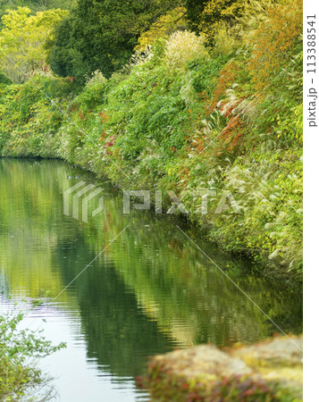 紅葉シーズンの姫路城中濠 / Himeji, Japan 113388541