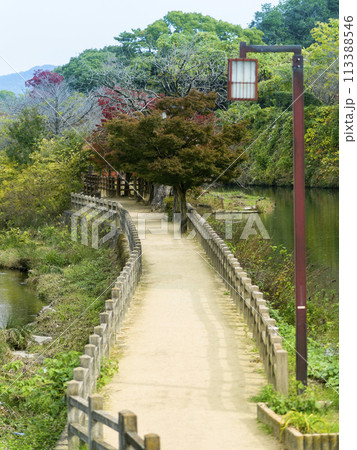 秋の姫路・千姫の小径 / Himeji, Japan 113388546
