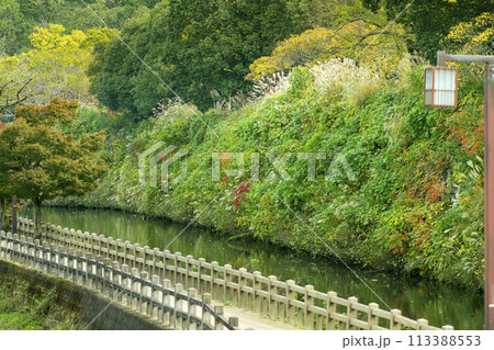 秋の姫路・千姫の小径と姫路城中濠 113388553