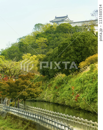 秋の姫路・千姫の小径と姫路城 / Himeji, Japan 113388554
