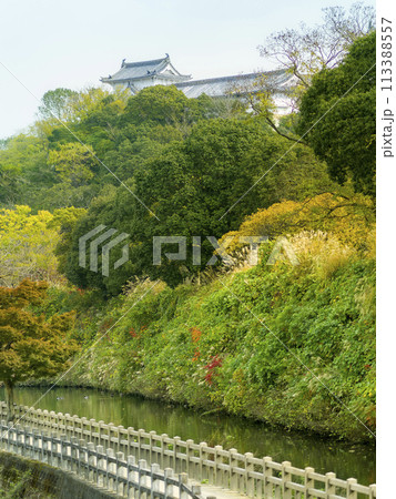 秋の姫路・千姫の小径と姫路城 / Himeji, Japan 秋の姫路・千姫の小径と姫路城 / Himeji, Japan 113388557