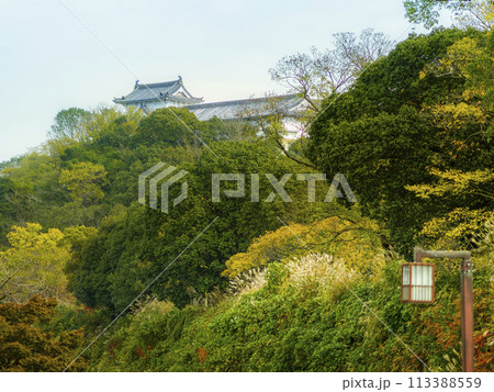 秋の姫路・千姫の小径と姫路城 / Himeji, Japan 秋の姫路・千姫の小径と姫路城 / Himeji, Japan 113388559