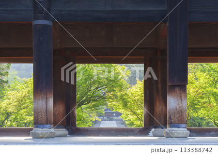 初夏の京都　早朝の南禅寺三門　新緑が美しい参道 113388742