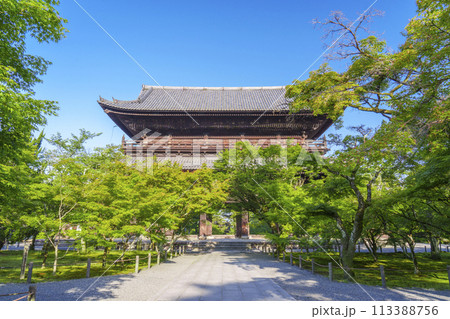 初夏の京都　南禅寺三門　新緑が美しい参道 113388756