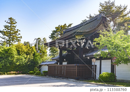 京都　南禅寺勅使門 113388760
