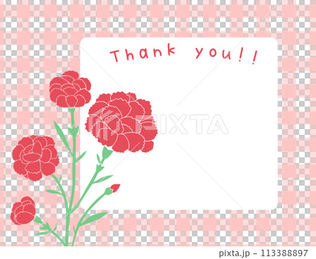 母の日　チェック柄　カーネーション　フレーム素材　ピンク 113388897