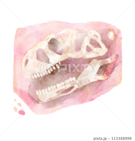 Fossil of Tyrannosaurus rex skull dinosaur in rock . Watercolor paint design . Vector . Fossil of Tyrannosaurus rex skull dinosaur in rock . Watercolor paint design . Vector . 113388999