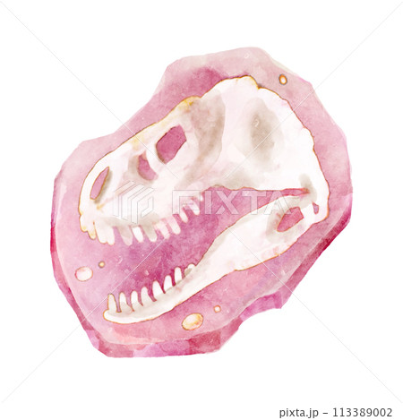 Fossil of Tyrannosaurus rex skull dinosaur in rock . Watercolor paint design . Vector . Fossil of Tyrannosaurus rex skull dinosaur in rock . Watercolor paint design . Vector . 113389002