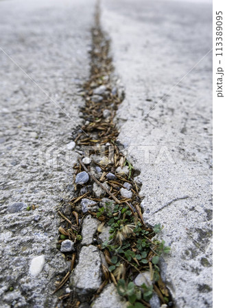 Detail of old abandoned road in the city Detail of old abandoned road in the city 113389095