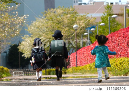 おねえちゃんを追いかける幼児 113389208