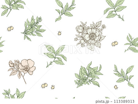 Green tea branch with leaves and wild rose flowers and berries. 113389313