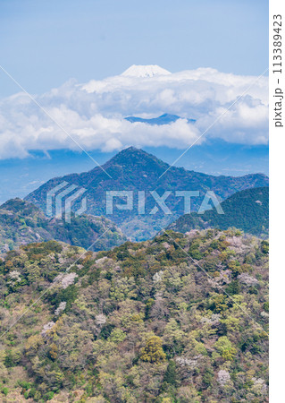 【静岡県】沼津アルプス・新緑の山中に点在する桜と雲間の現れた富士山 【静岡県】沼津アルプス・新緑の山中に点在する桜と雲間の現れた富士山 113389423
