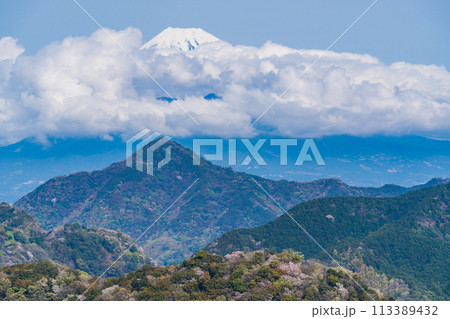 【静岡県】沼津アルプス・新緑の山中に点在する桜と雲間の現れた富士山 113389432