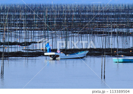 大牟田市　有明海　海苔畑、 113389504