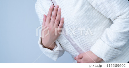 フォーマルなジャケットを着た女性 113389602