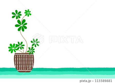 カポックのイメージポストカード 113389881