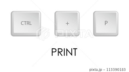 Print key combination. Keyboard shortcut for quickly executing command in operating system. Isolated vector on white background 113390183