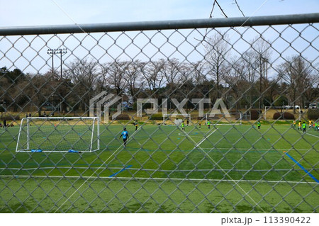 元気にサッカーを楽しむ子供達 元気にサッカーを楽しむ子供達 113390422