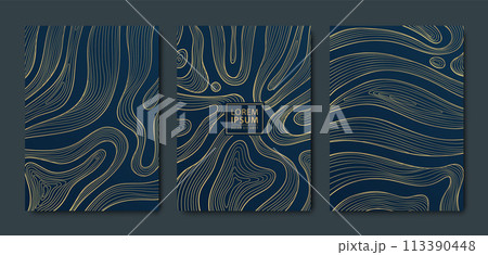 Vector set of gold line ribbons pattern, line organic shapes illustrations. Art deco geometric texture, wave curve templates. Elegant banners, cards, wallpapers Vector set of gold line ribbons pattern, line organic shapes illustrations. Art deco geometric texture, wave curve templates. Elegant banners, cards, wallpapers 113390448