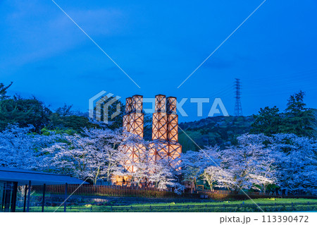 【静岡県】桜満開の韮山反射炉ライトアップ 113390472