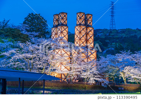 【静岡県】桜満開の韮山反射炉ライトアップ 113390495