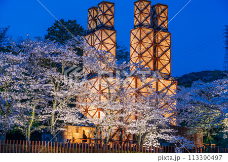 【静岡県】桜満開の韮山反射炉ライトアップ 113390497