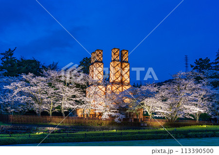 【静岡県】桜満開の韮山反射炉ライトアップ 【静岡県】桜満開の韮山反射炉ライトアップ 113390500