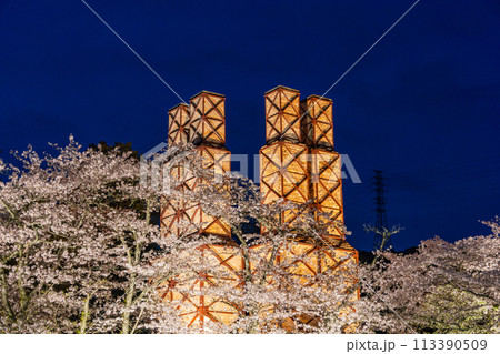 【静岡県】桜満開の韮山反射炉ライトアップ 【静岡県】桜満開の韮山反射炉ライトアップ 113390509