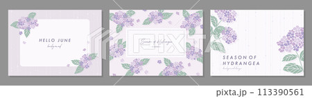 紫陽花 アジサイ 梅雨  hydrangea 素材セット フレーム 背景 ベクターイラスト シンプル 113390561