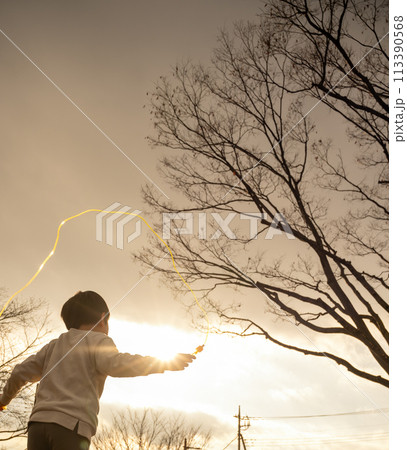 公園の子供 113390568