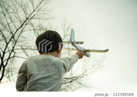 公園の子供 113390569