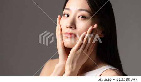 若い女性 アジアンビューティー グレー 若い女性 アジアンビューティー グレー 113390647