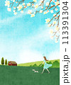 Scenery Illustration 113391304