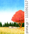 Scenery Illustration 113391317