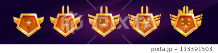 Gold game rank badge and level medal vector icon Gold game rank badge and level medal vector icon 113391503