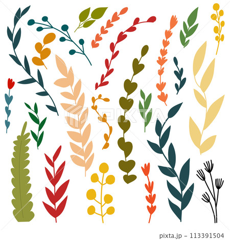 A set of foliage and leaves isolated on a white background in cartoon style. A set of foliage and leaves isolated on a white background in cartoon style. 113391504