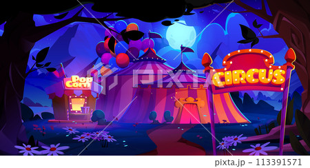 Night carnival park entrance with circus amusement Night carnival park entrance with circus amusement 113391571