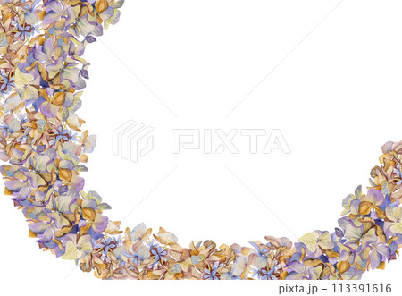 Hand drawn watercolor illustration shabby boho botanical flowers leaves. Hydrangea hortensia purple withered inflorescence. Frame garland isolated on white background. Design wedding, love cards Hand drawn watercolor illustration shabby boho botanical flowers leaves. Hydrangea hortensia purple withered inflorescence. Frame garland isolated on white background. Design wedding, love cards 113391616